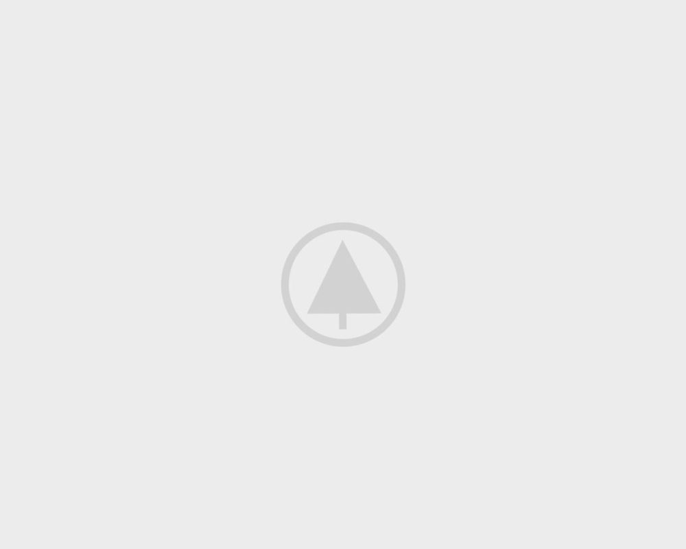 wood-portfolio-placeholder