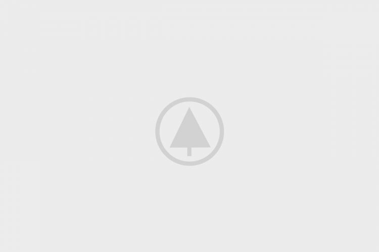 wood-portfolio-placeholder